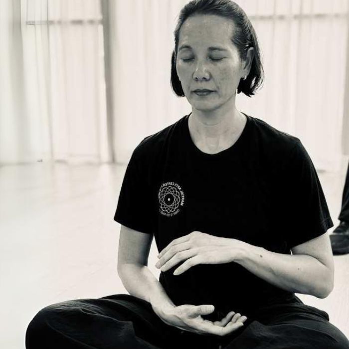 meditation martial arts