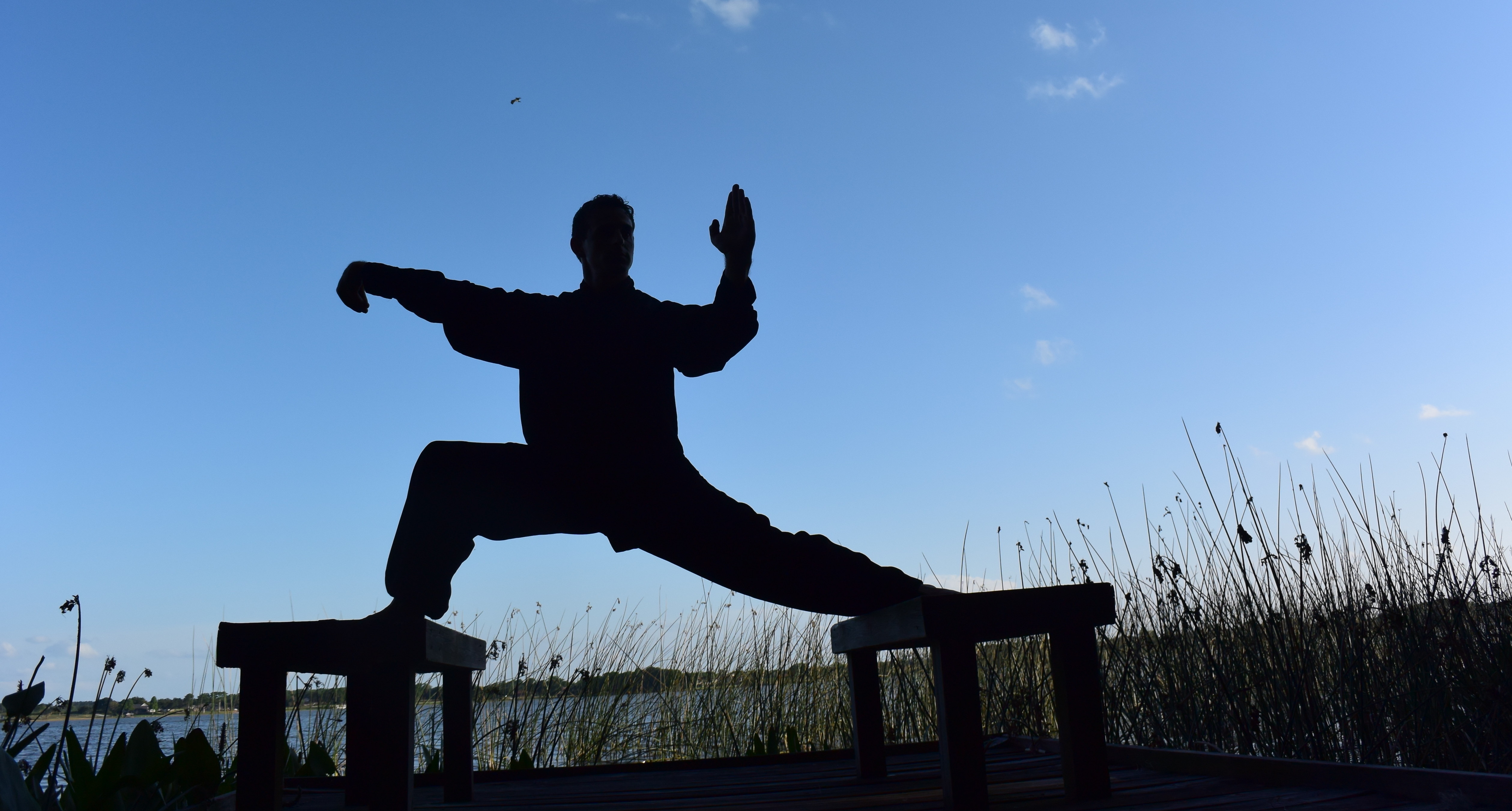 Styles And Benefits Martial Arts Center For Health