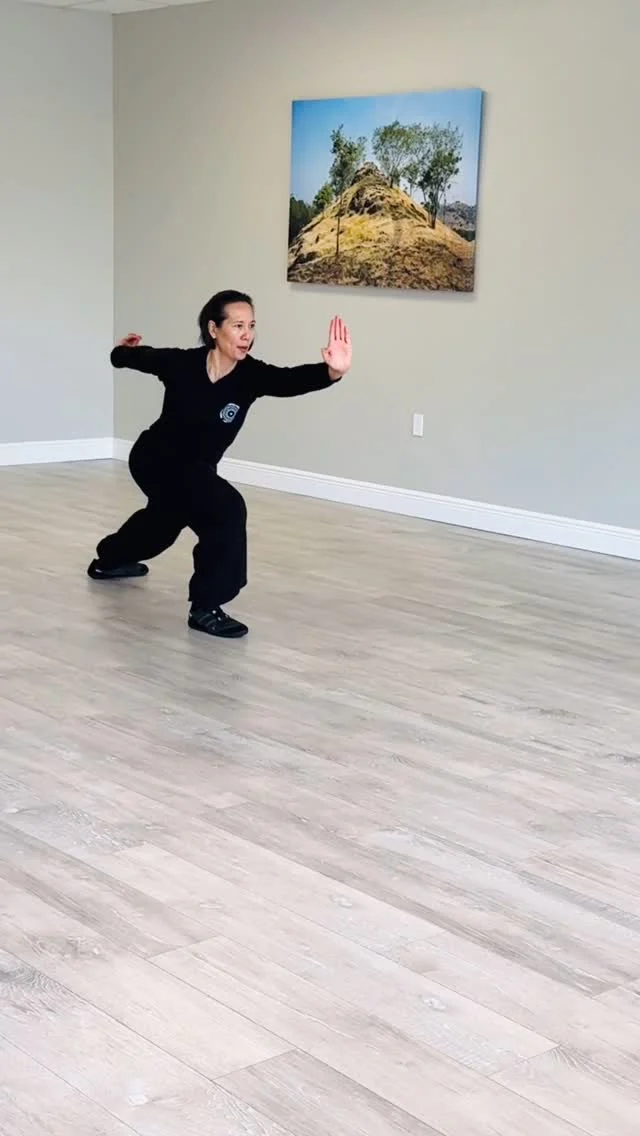 Spring Open House Demonstration. A BIG applause goes out to the Demo Team for the spectacular display of martial arts they are learning here at the Martial Arts Center for Health. Each member is demonstrating different levels in the way that matches best for their bodies. Gaining knowledge with longevity… priceless!